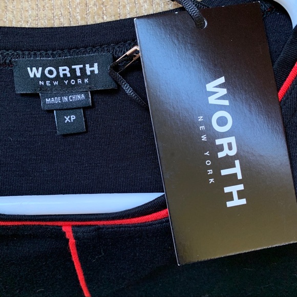 NWT, WORTH NY, A-line dress with piping - Picture 4 of 4